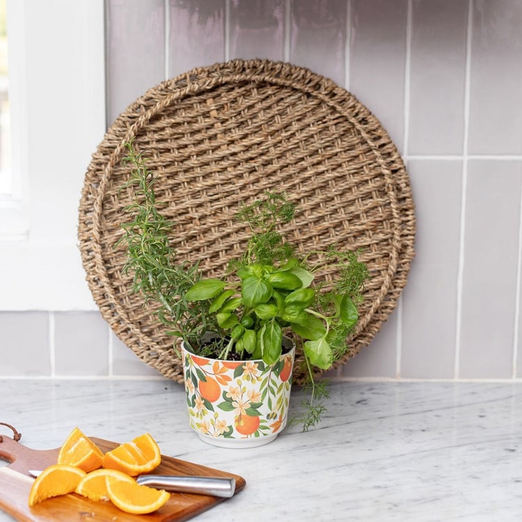142.GLG925471_3_.jpg
